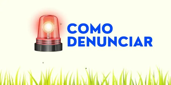 capa artigo de como denunciar um poço artesiano clandestino anonimamente